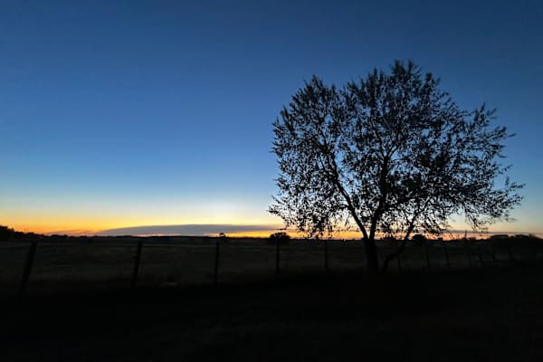 House sit in Longmont, CO, US