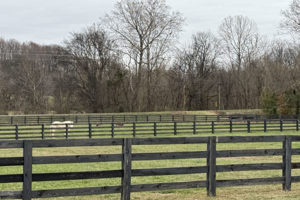 House sit in Thompson's Station, TN, US