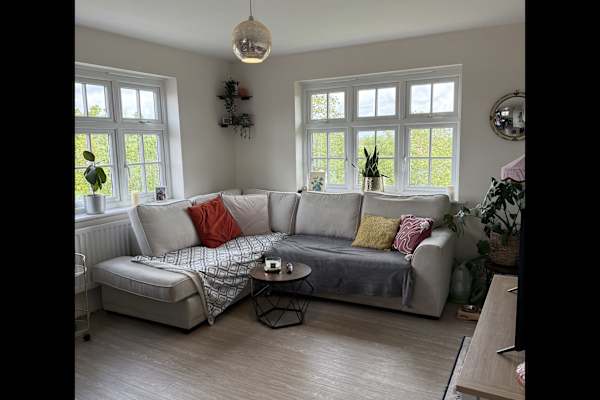 House sit in Stratford-upon-Avon, United Kingdom