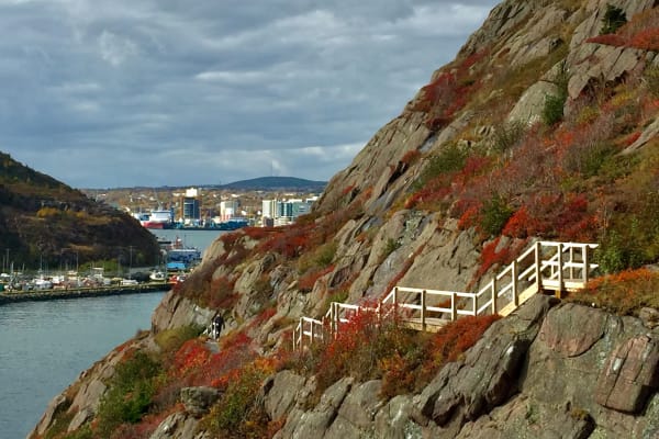 House sit in St. John's, NL, Canada