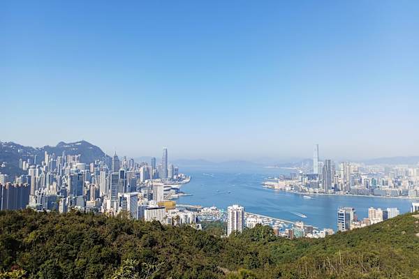 House sit in Hong Kong, Hong Kong