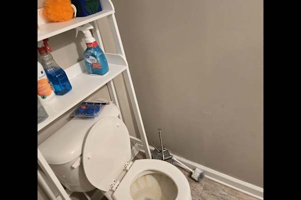 House sit in Ellabell, GA, US