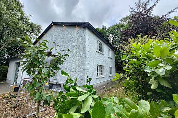 House sit in Straffan, Ireland