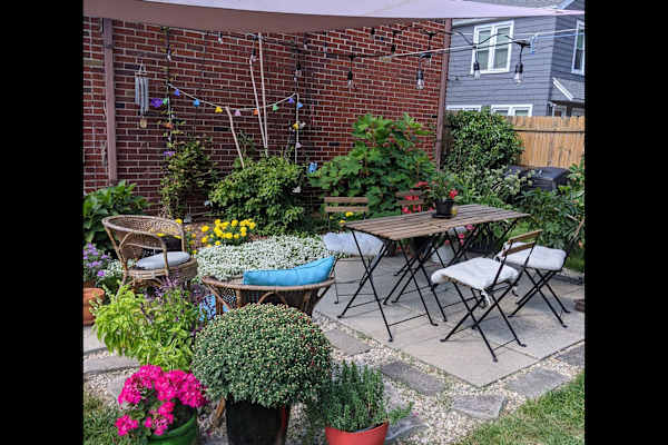 House sit in Ottawa Hills, OH, US