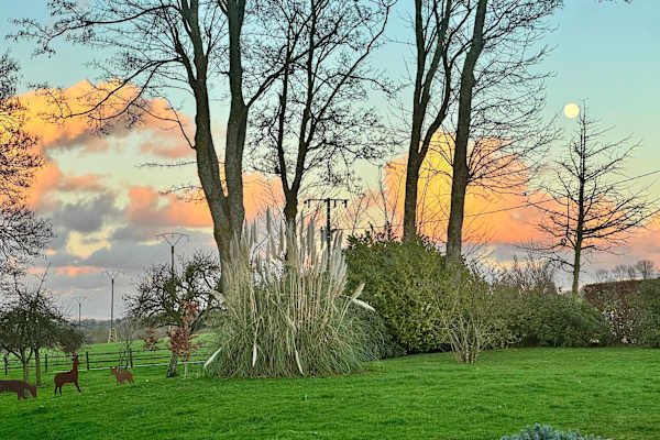 House sit in Bayeux, France