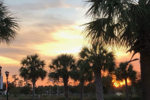 House sit in Myrtle Beach, SC, US