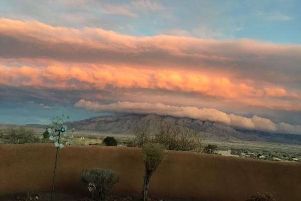 House sit in Corrales, NM, US