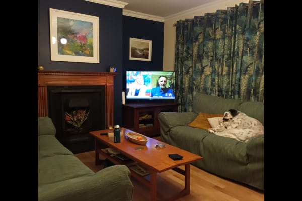 House sit in Dublin, Ireland