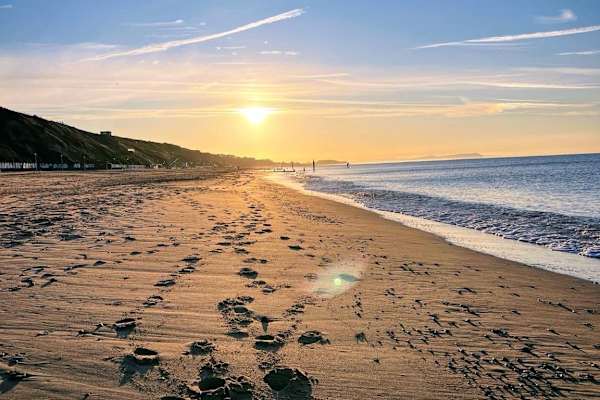 House sit in Bournemouth, United Kingdom