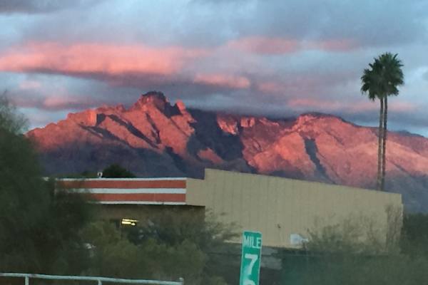 House sit in Oro Valley, AZ, US