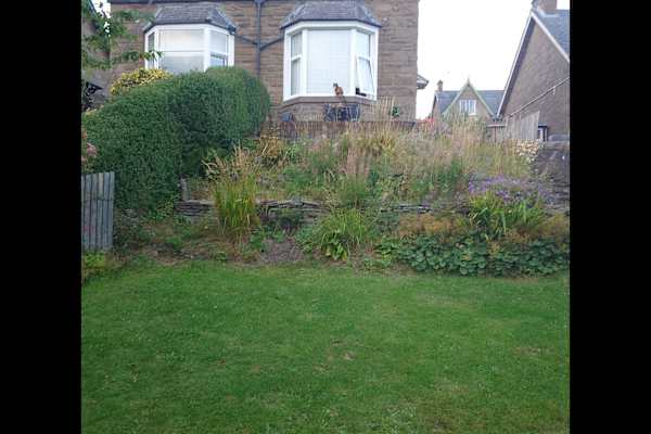 House sit in Dundee, United Kingdom