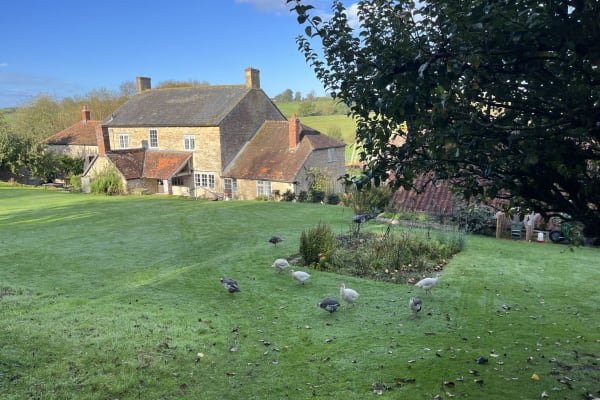 House sit in Stour Provost, United Kingdom