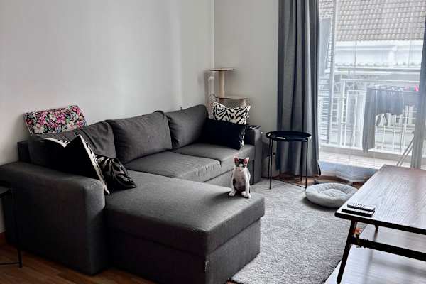 House sit in Bangkok, Thailand