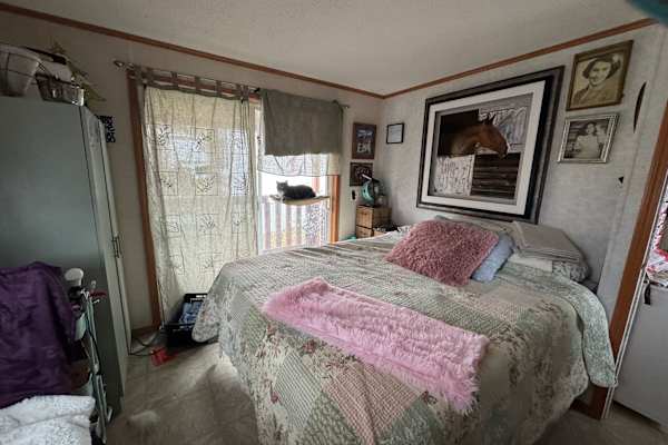 House sit in Fruitvale, BC, Canada