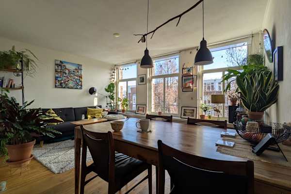 House sit in Amsterdam, Netherlands