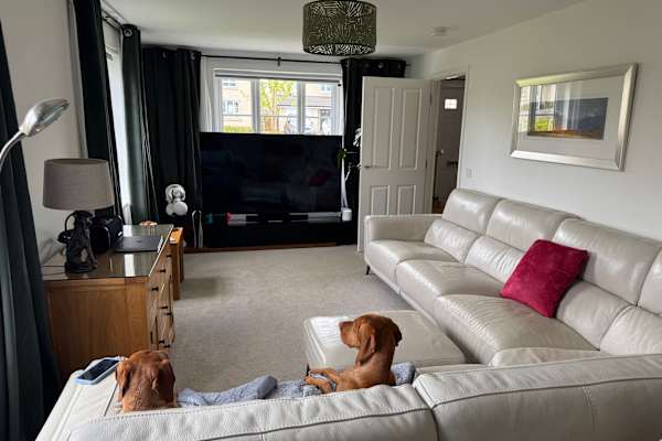 House sit in Edinburgh, United Kingdom