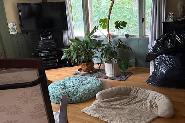 House sit in Lewiston, ME, US