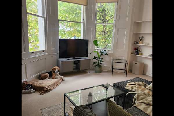 House sit in Kensington, United Kingdom