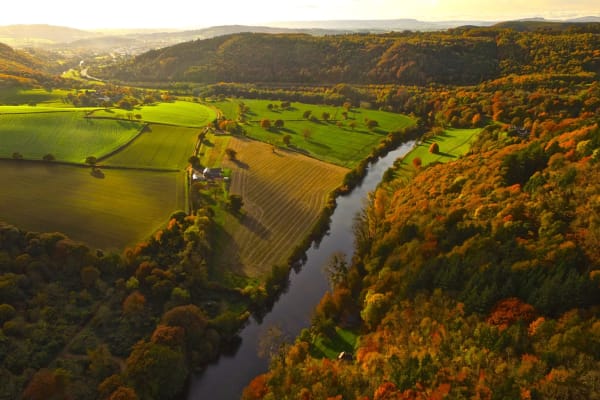 House sit in Monmouth, United Kingdom