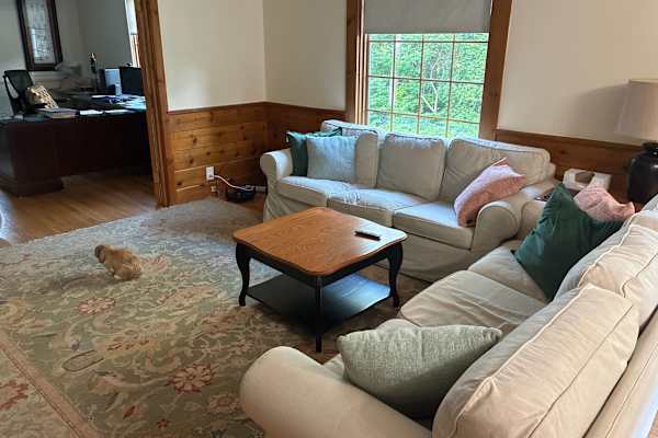 House sit in Leverett, MA, US