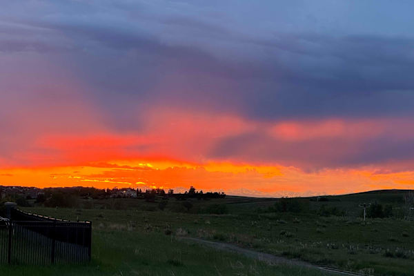 House sit in Aurora, CO, US