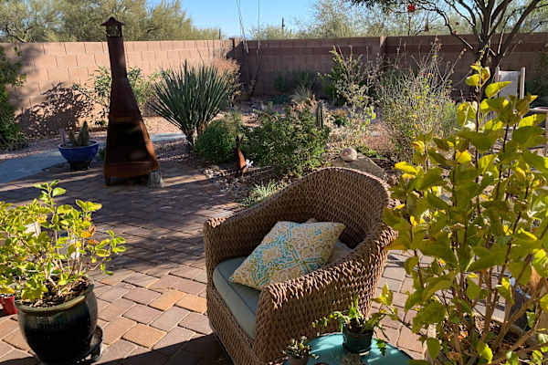House sit in Marana, AZ, US