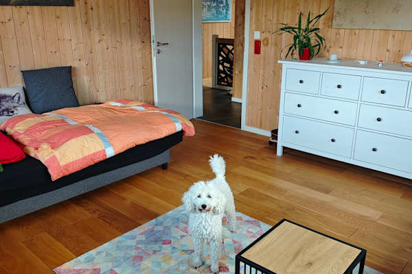 House sit in Radeberg, Germany