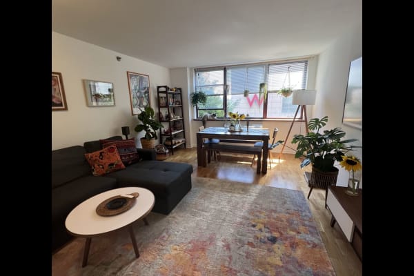 House sit in Hoboken, NJ, US