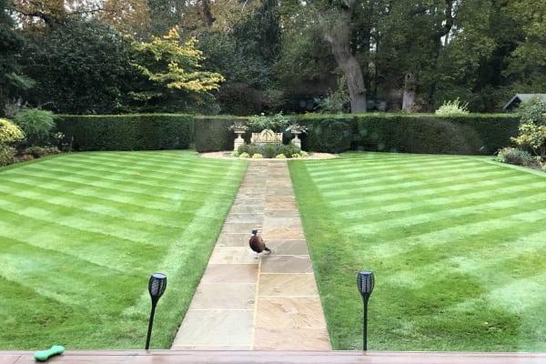 House sit in West Clandon, United Kingdom