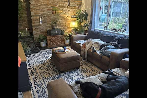 House sit in Basingstoke, United Kingdom