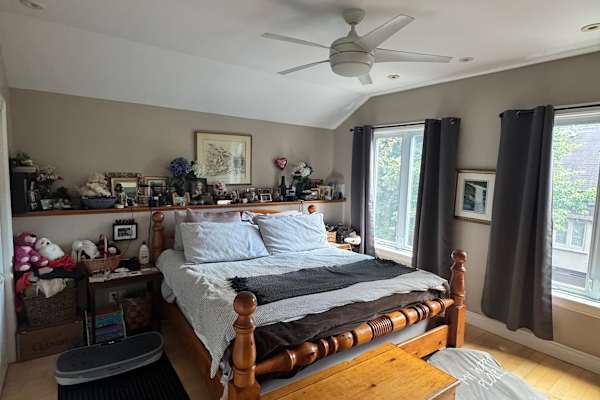 House sit in Toronto, ON, Canada