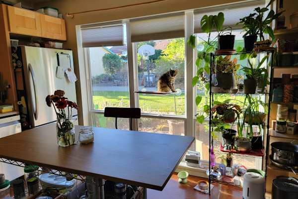 House sit in Ashland, OR, US