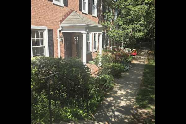 House sit in Arlington, VA, US