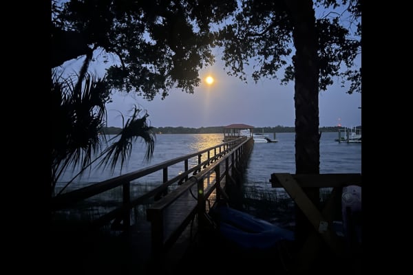 House sit in Beaufort, SC, US