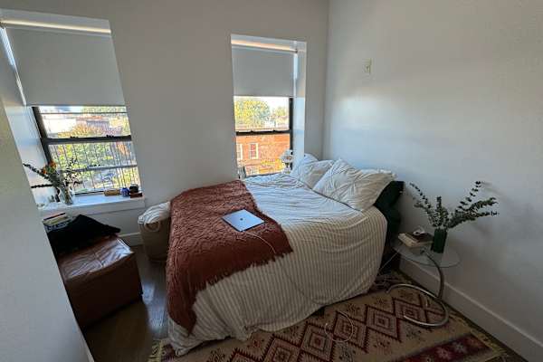 House sit in Brooklyn, NY, US