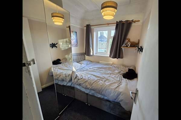 House sit in Haywards Heath, United Kingdom