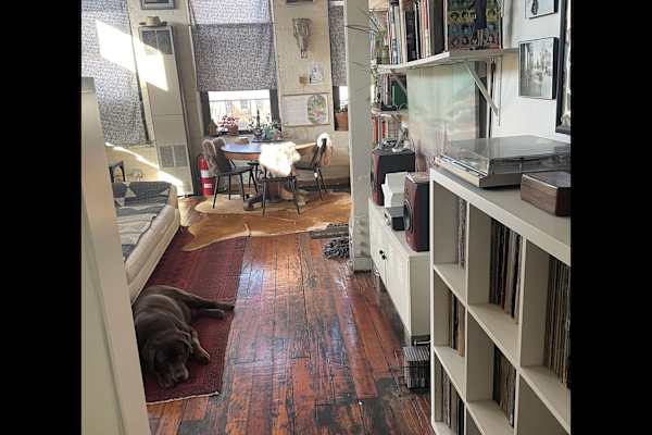 House sit in Brooklyn, NY, US