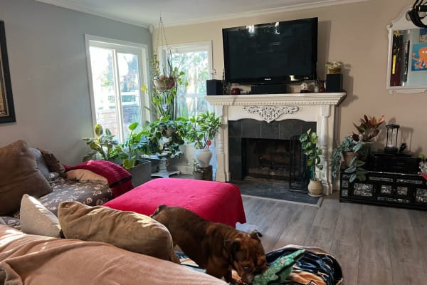 House sit in Santa Clarita, CA, US