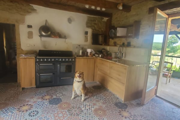 House sit in Parisot, France