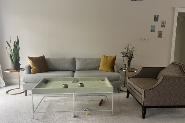 House sit in South Pasadena, CA, US