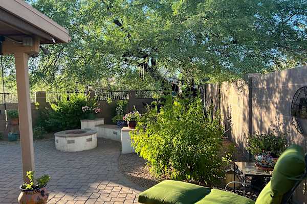 House sit in Tucson, AZ, US