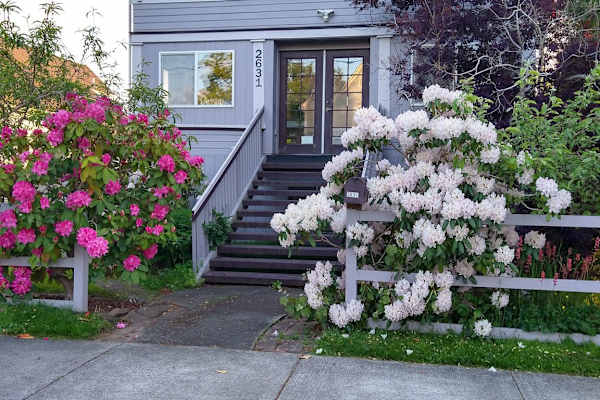House sit in Bellingham, WA, US