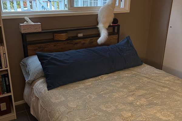 House sit in Langley, WA, US