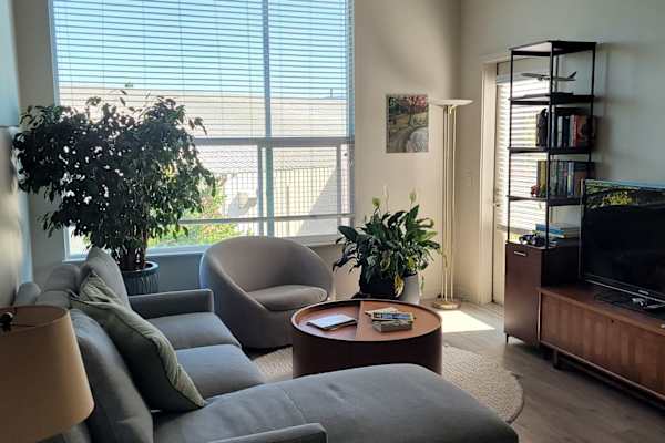House sit in San Mateo, CA, US