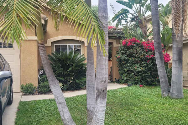 House sit in Poway, CA, US