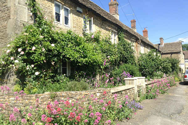 House sit in Chippenham, United Kingdom