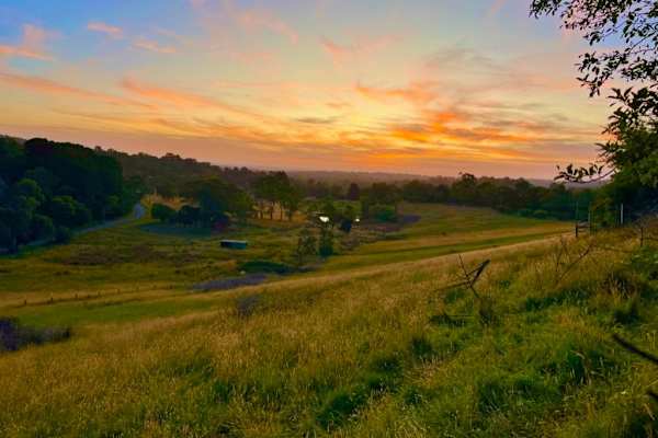 House sit in Pakenham East, VIC, Australia