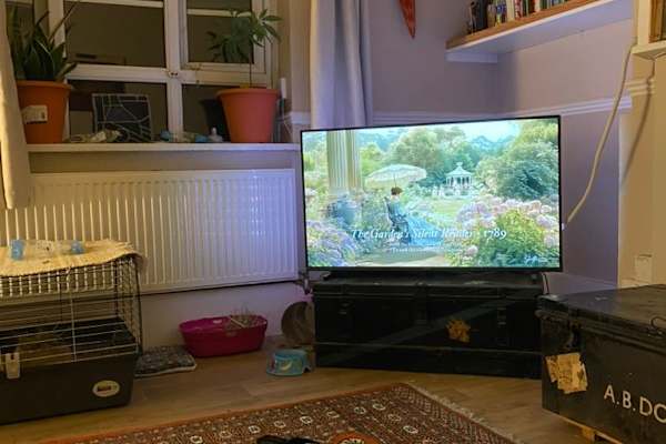 House sit in London, United Kingdom