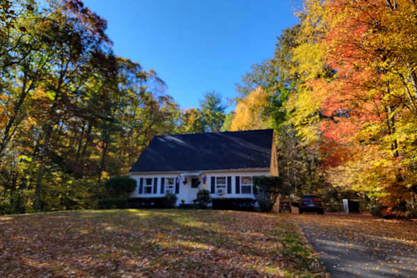 House sit in Northampton, MA, US