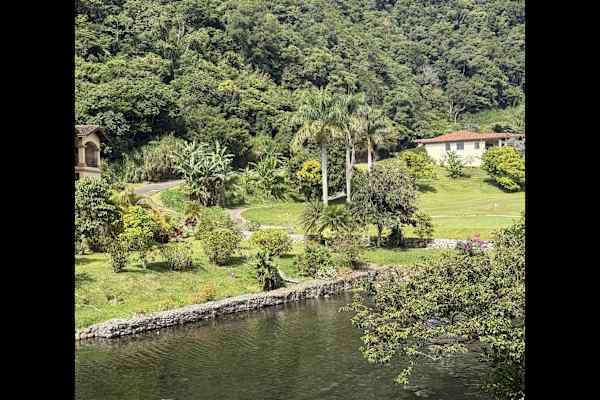 House sit in Bajo Boquete, Panama